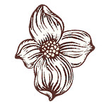 flower icon