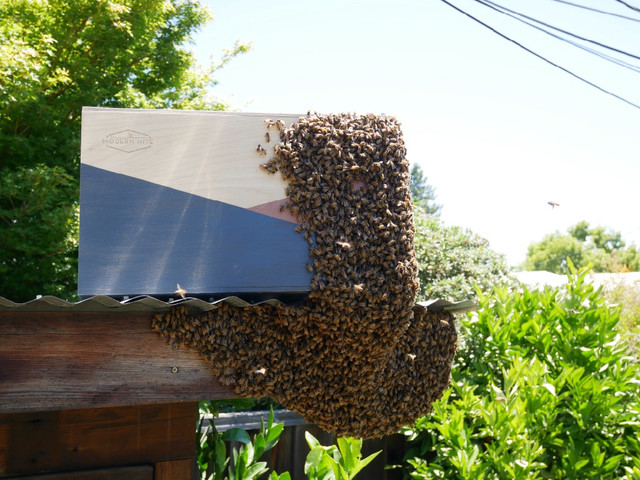 Bee Hives, Bumblebee Hives, Bee Hive Planters, Beehive Decor