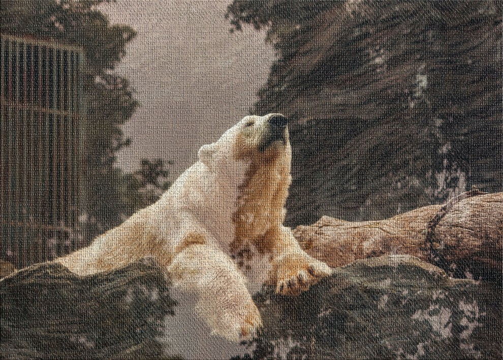 Polar Bear Area Rug, 5'0"x7'0"