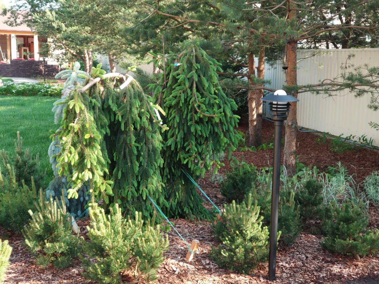 Лен. область. поселок Морозова