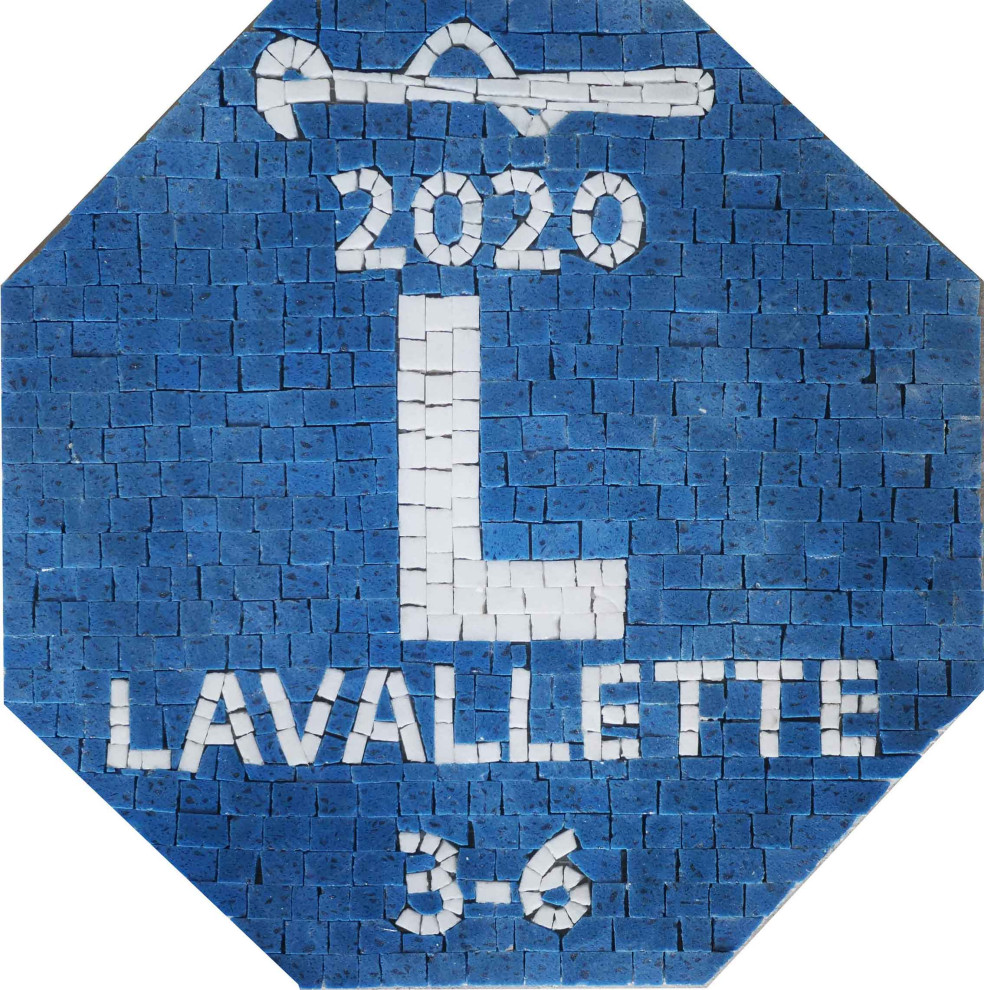 Lavalette Custom Mosaic, 40" x 40" Contemporary Tile Murals by Mozaico Inc Houzz