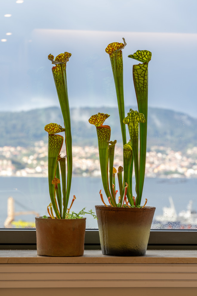 Mirando al puerto de Vigo desde las alturas...