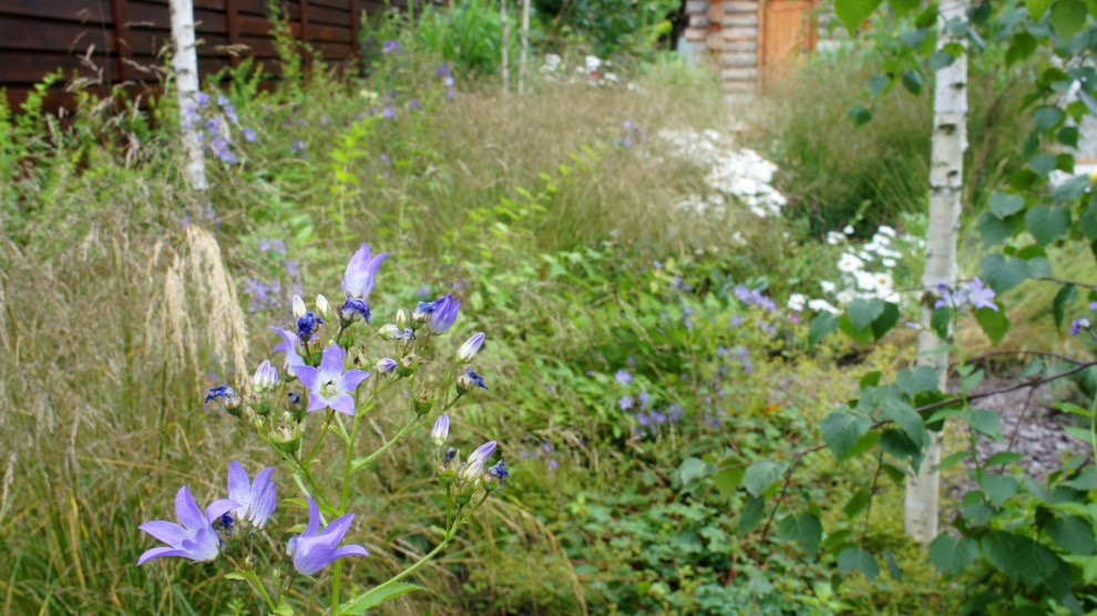Цветники и композиции крупным планом