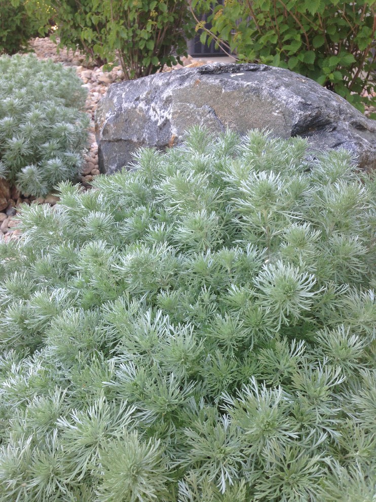 This is an example of a large transitional drought-tolerant and full sun backyard gravel landscaping in Denver.