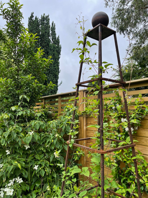 How to Use Planting for Privacy When You Have No Mature Trees | Houzz UK