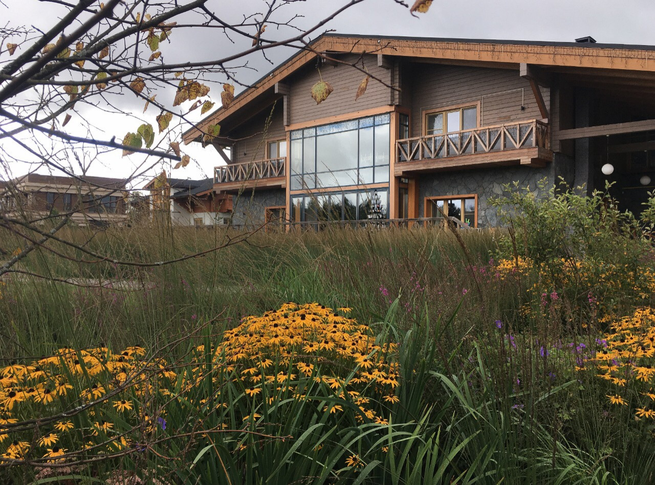 Вид на жилой дом