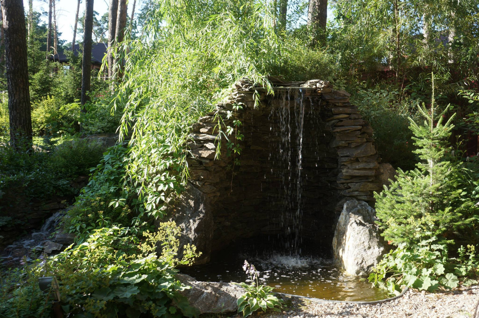 Лесной пейзаж