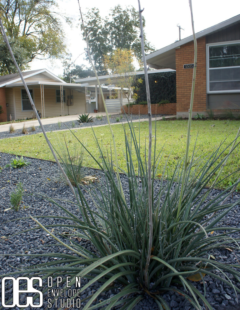 This is an example of a small modern front yard full sun garden in Austin with gravel.
