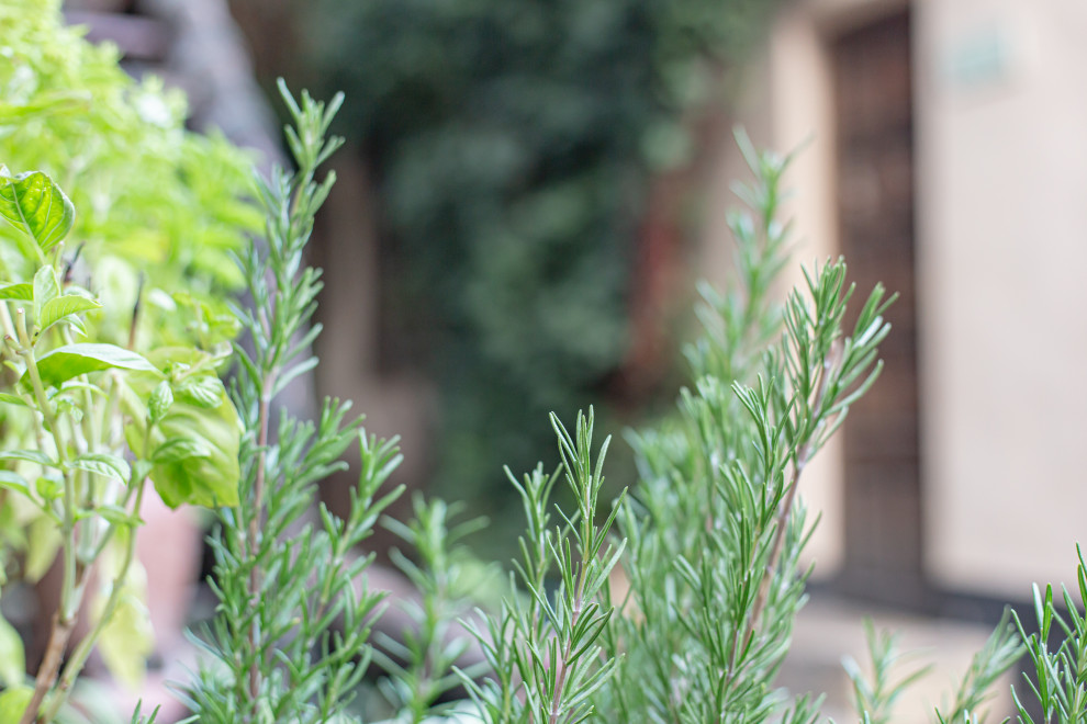 АРТ Ресторан CARAVAN