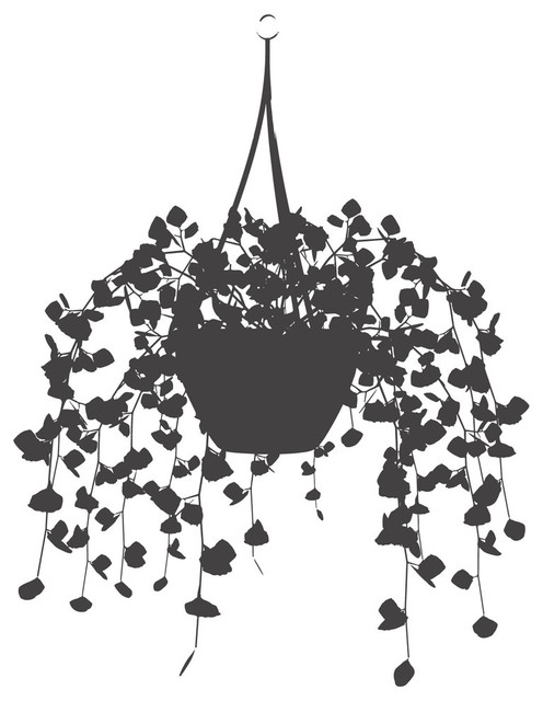 Foliage Hanging Basket Wall Decal Modern Wall Decals By Dana