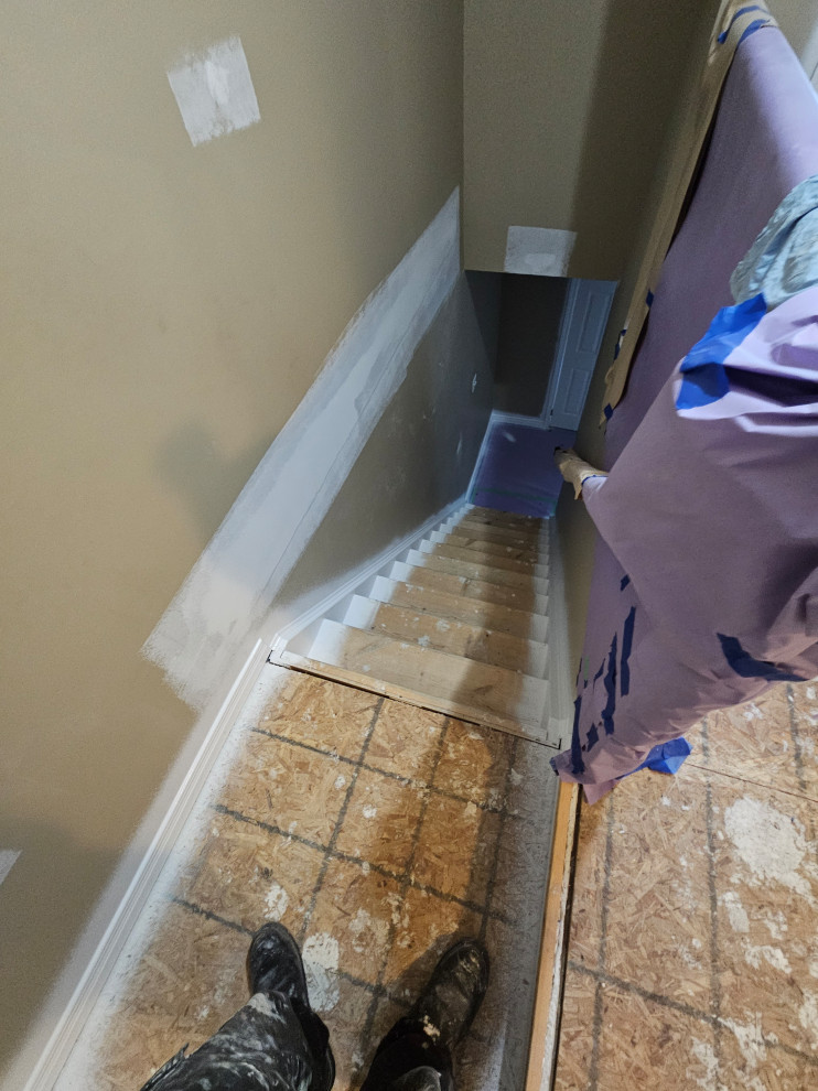 Interior Remodel (Painting, Flooring & Stairs)