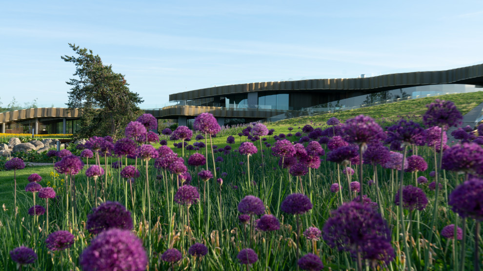 Природный сад. Жуковка XXI век. 2017-2018 гг.