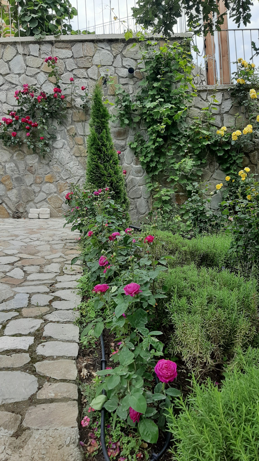 Ландшафтный дизайн