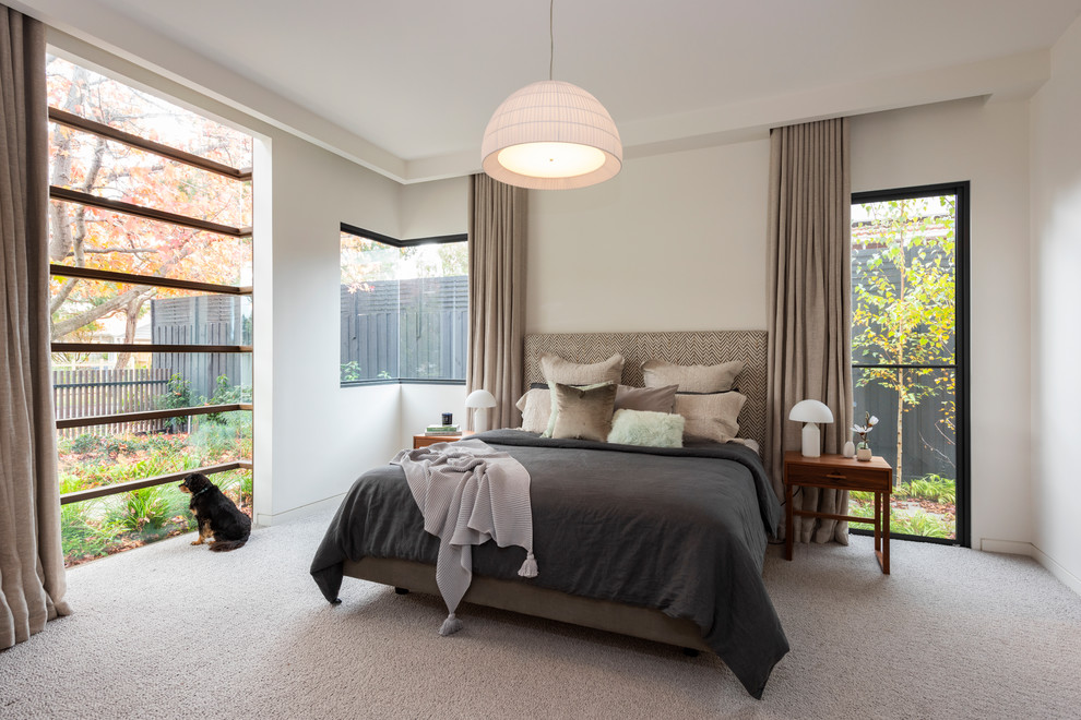This is an example of a contemporary master bedroom in Melbourne with white walls, carpet and multi-coloured floor.
