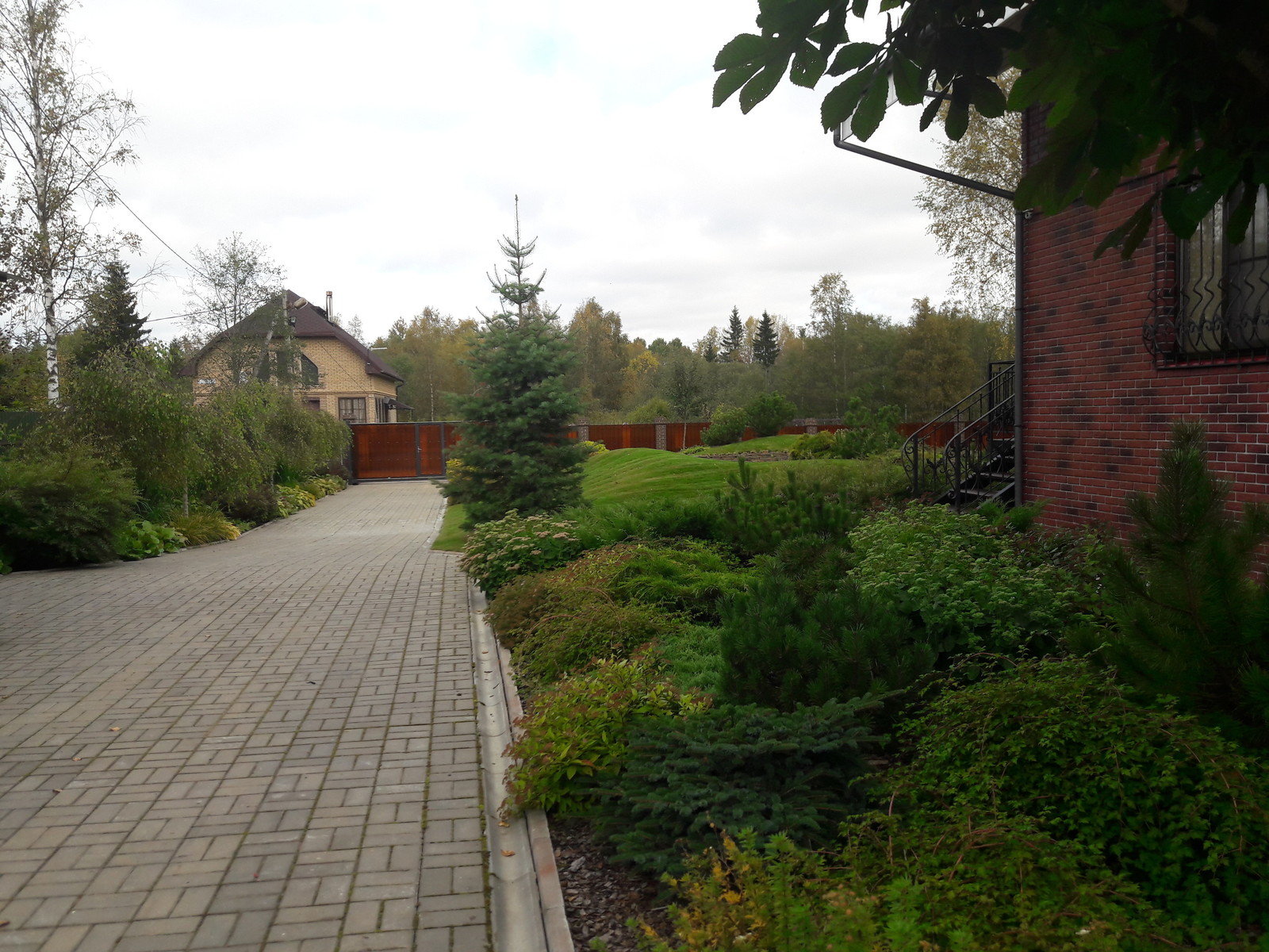 Сад  на холмах