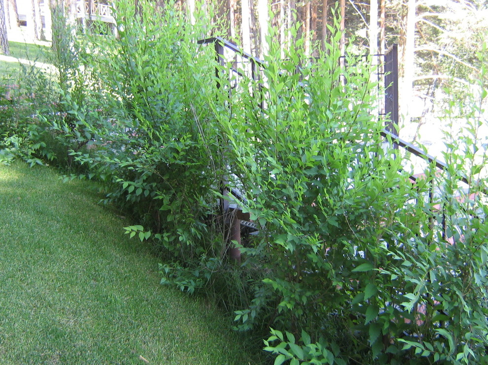 на побережье