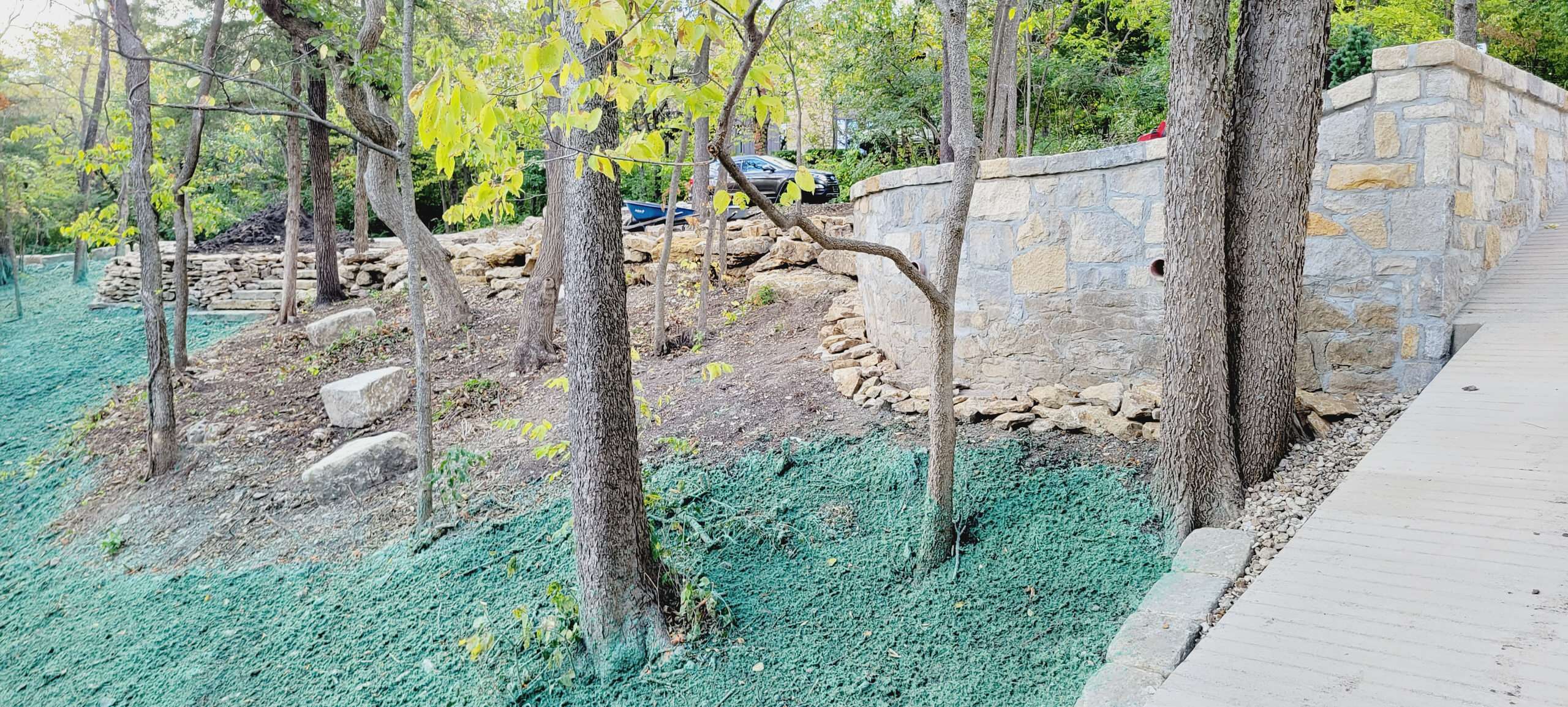 Woodland Restoration Hydroseeding Hillside