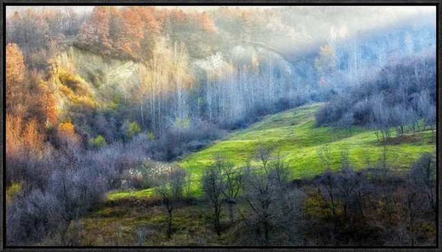 "November Colors" Framed Canvas Giclee by Adrian Popan, 31x18"