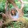 Last commented by Christina Talbott-Hoffman