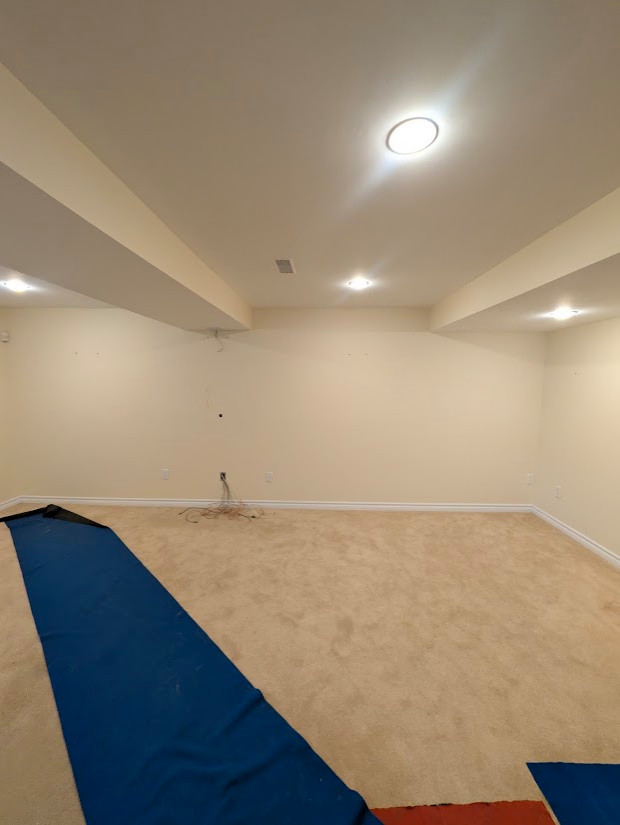 Basement Design+Build - Painting