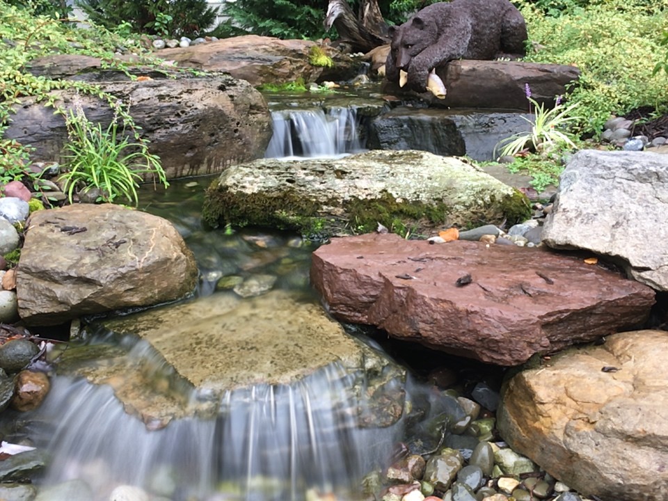 Garden Ponds, Back Yard Ponds, Landscape Ideas, Baltimore County