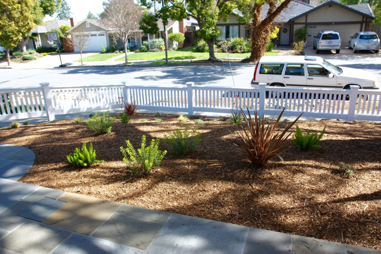 Front Yards without Lawn