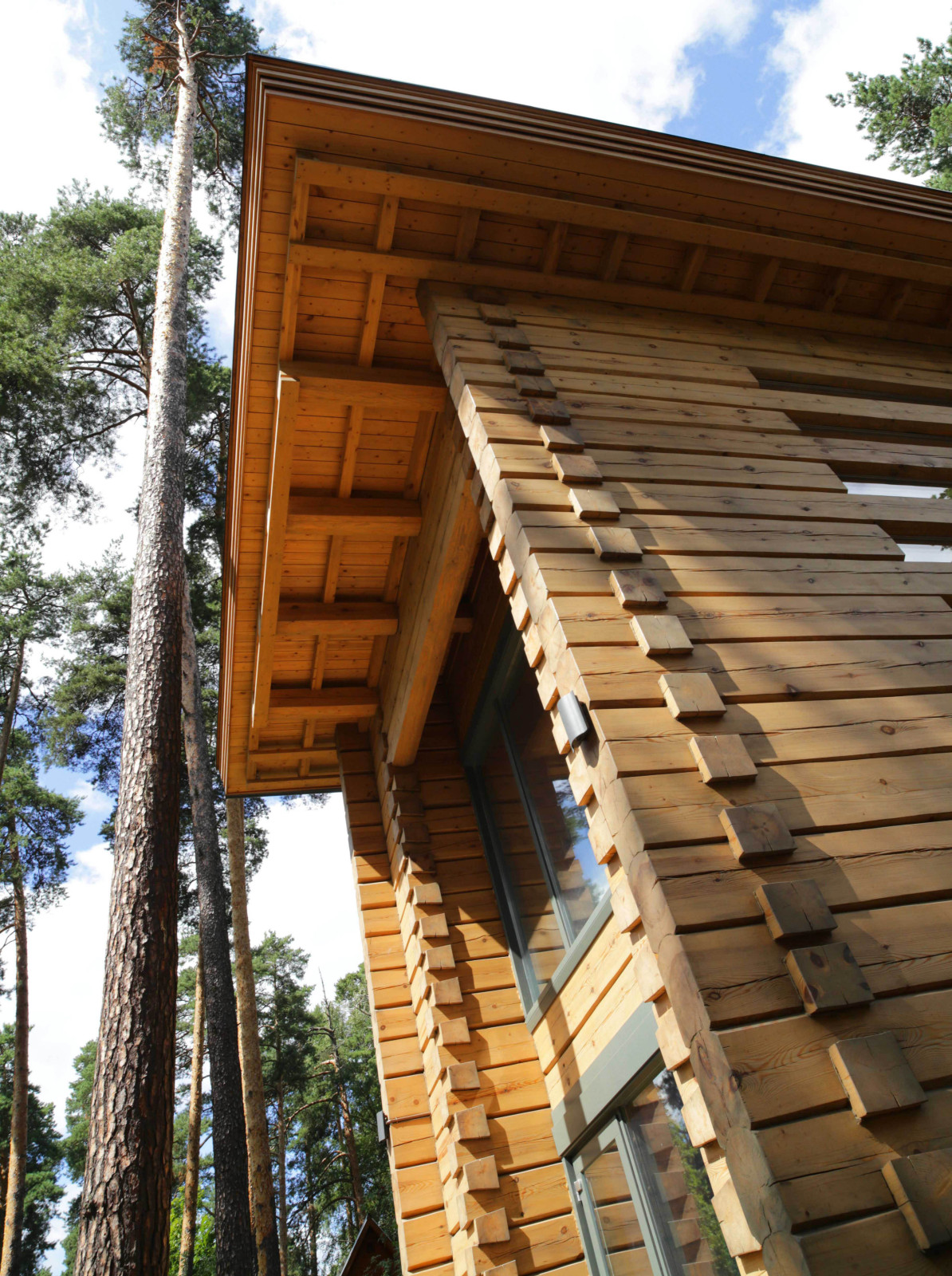 Дом в сосновом лесу