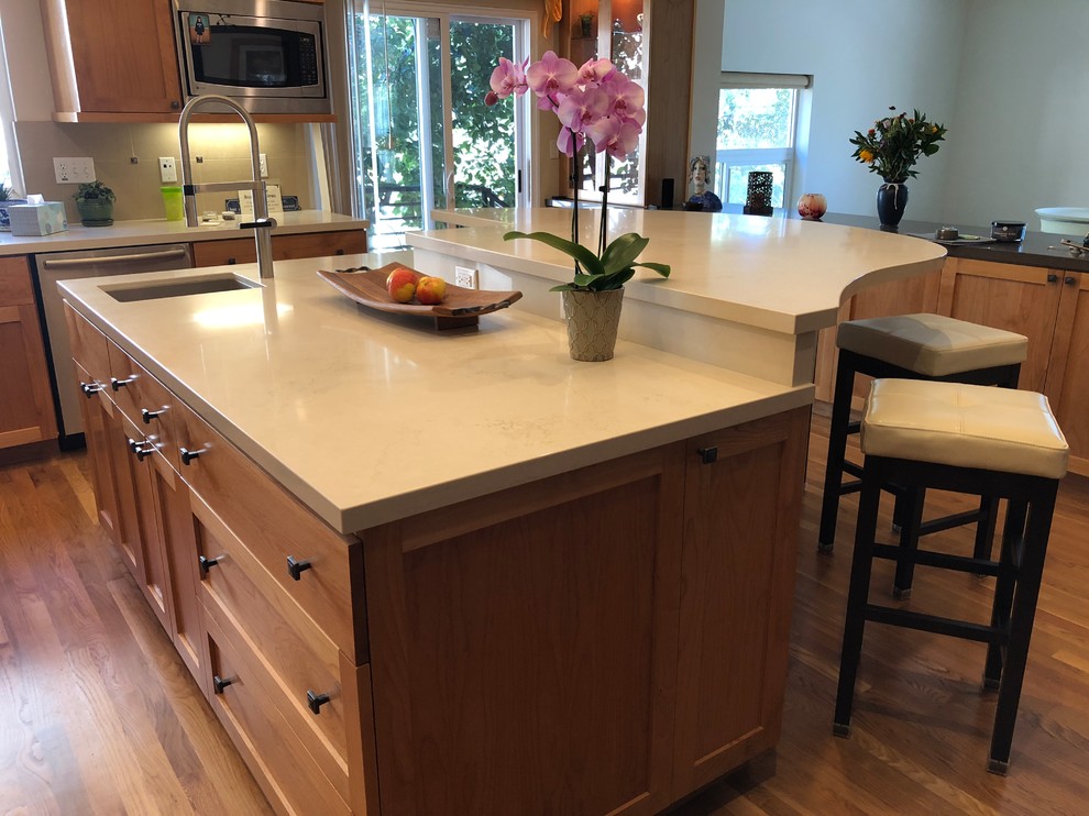 Transitional kitchen photo in San Francisco