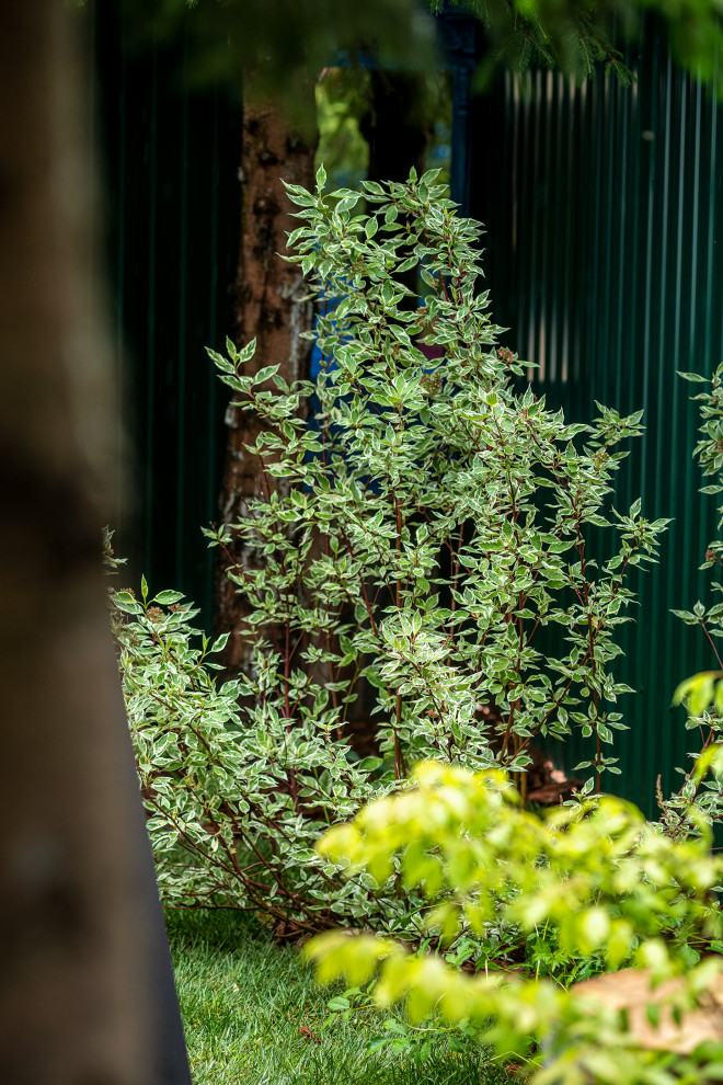 Современный хуторок у Наташи Королевой