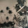 jan_gilstorf_visone