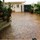 ARTSCAPES Ltd
