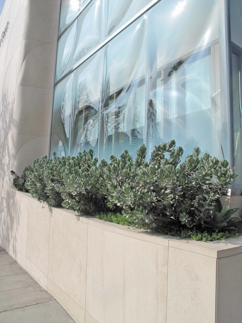 Concrete Planter Box - Modern - Landscape - Los Angeles - by Design Studio  Ma, Inc. | Houzz