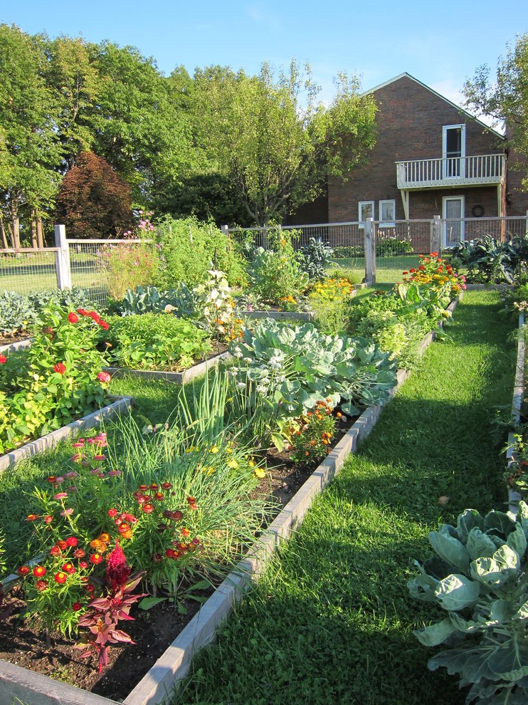 Design ideas for a traditional garden in Burlington.
