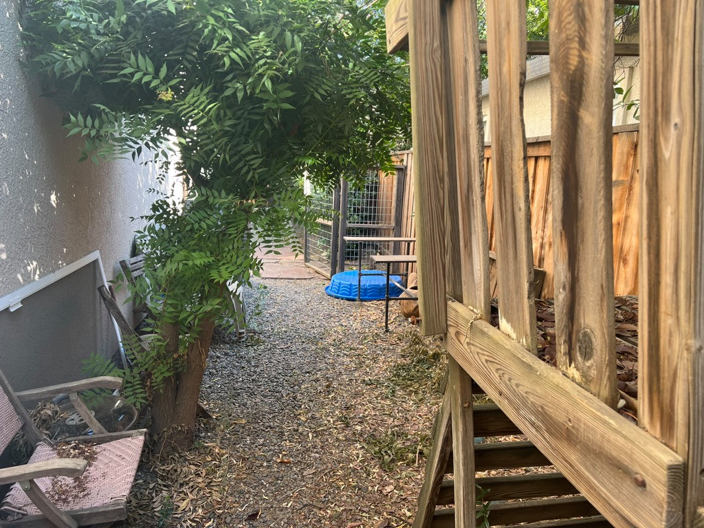 Curated Outdoor Living: Front, Back & Side Yard Design