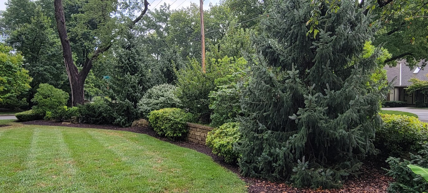 Burwell Street Buffer