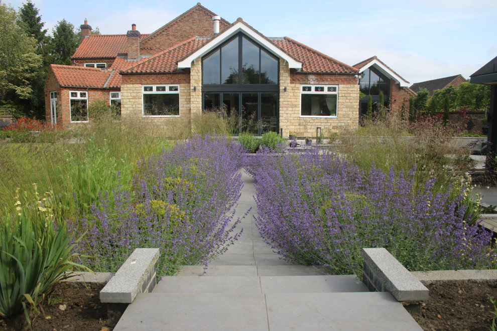 Идея дизайна: солнечный участок и сад среднего размера на заднем дворе в современном стиле с хорошей освещенностью