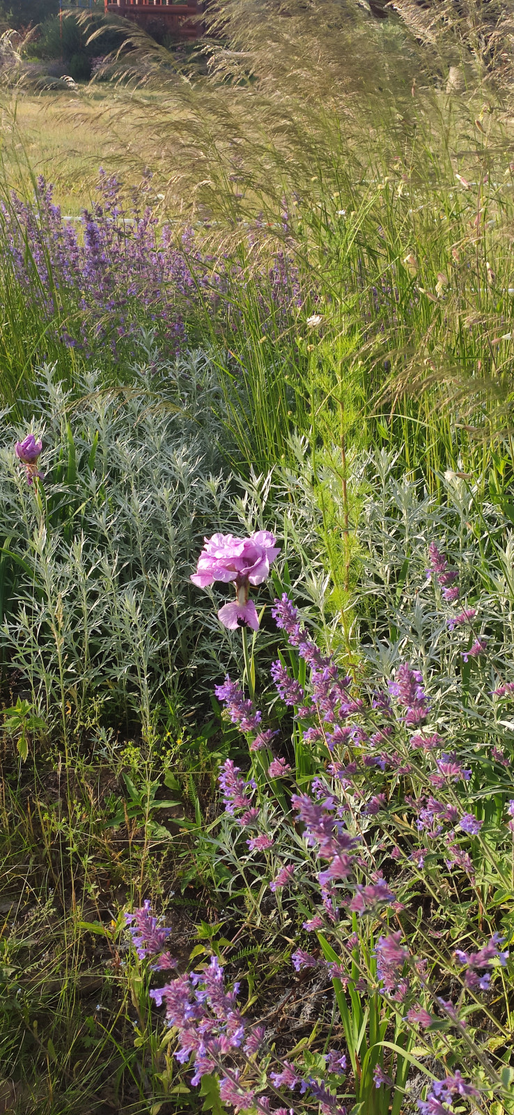 Проект "Волга"