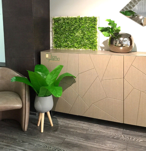 Фитостены,вертикальное озеленение