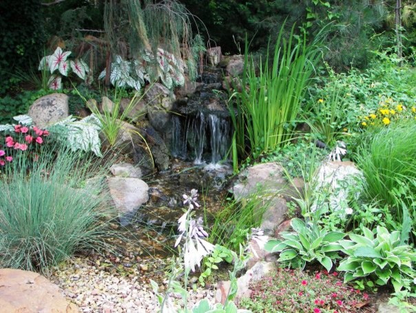 Design ideas for a landscaping in Oklahoma City.