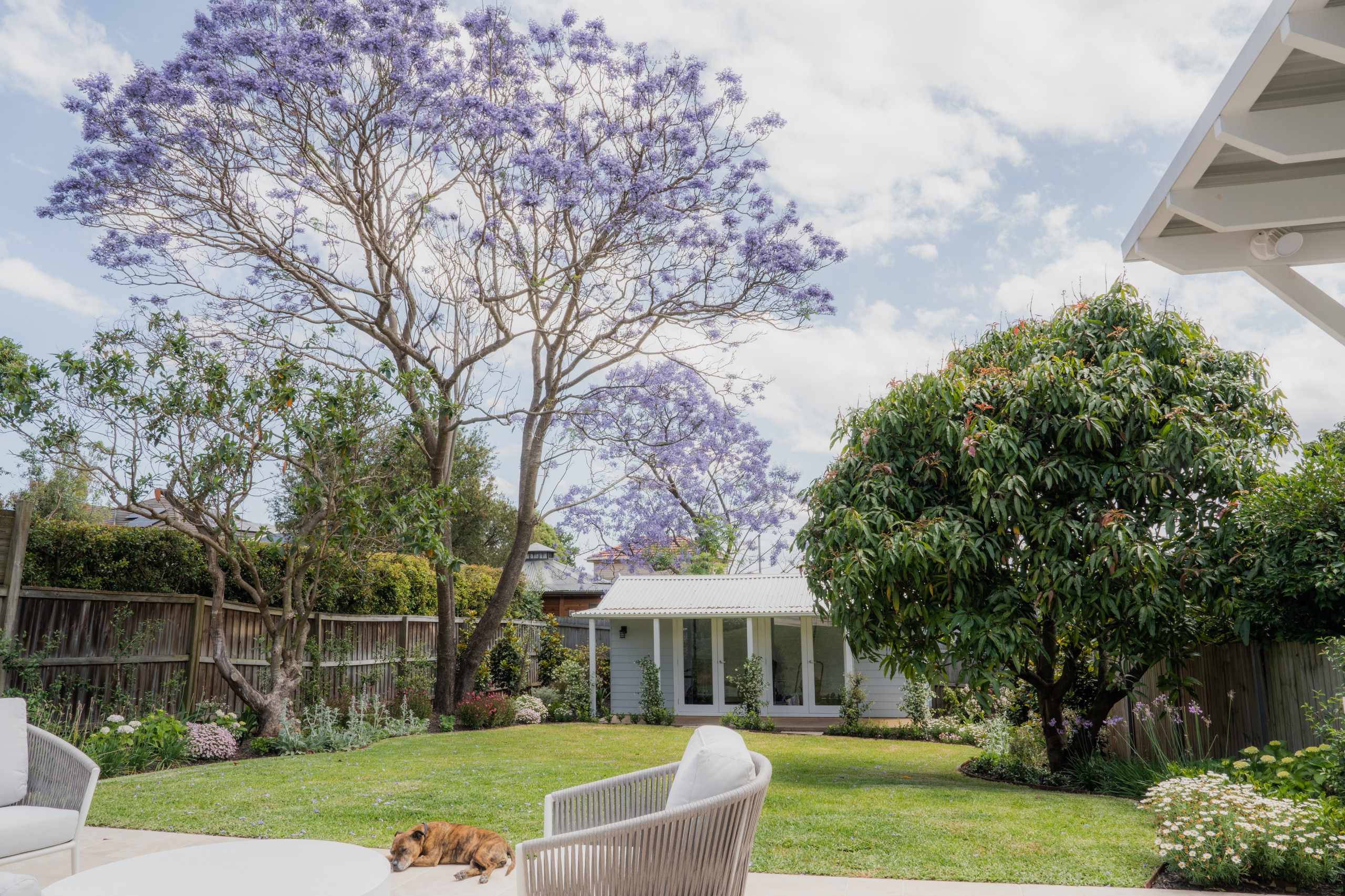 PROJECT JACARANDA