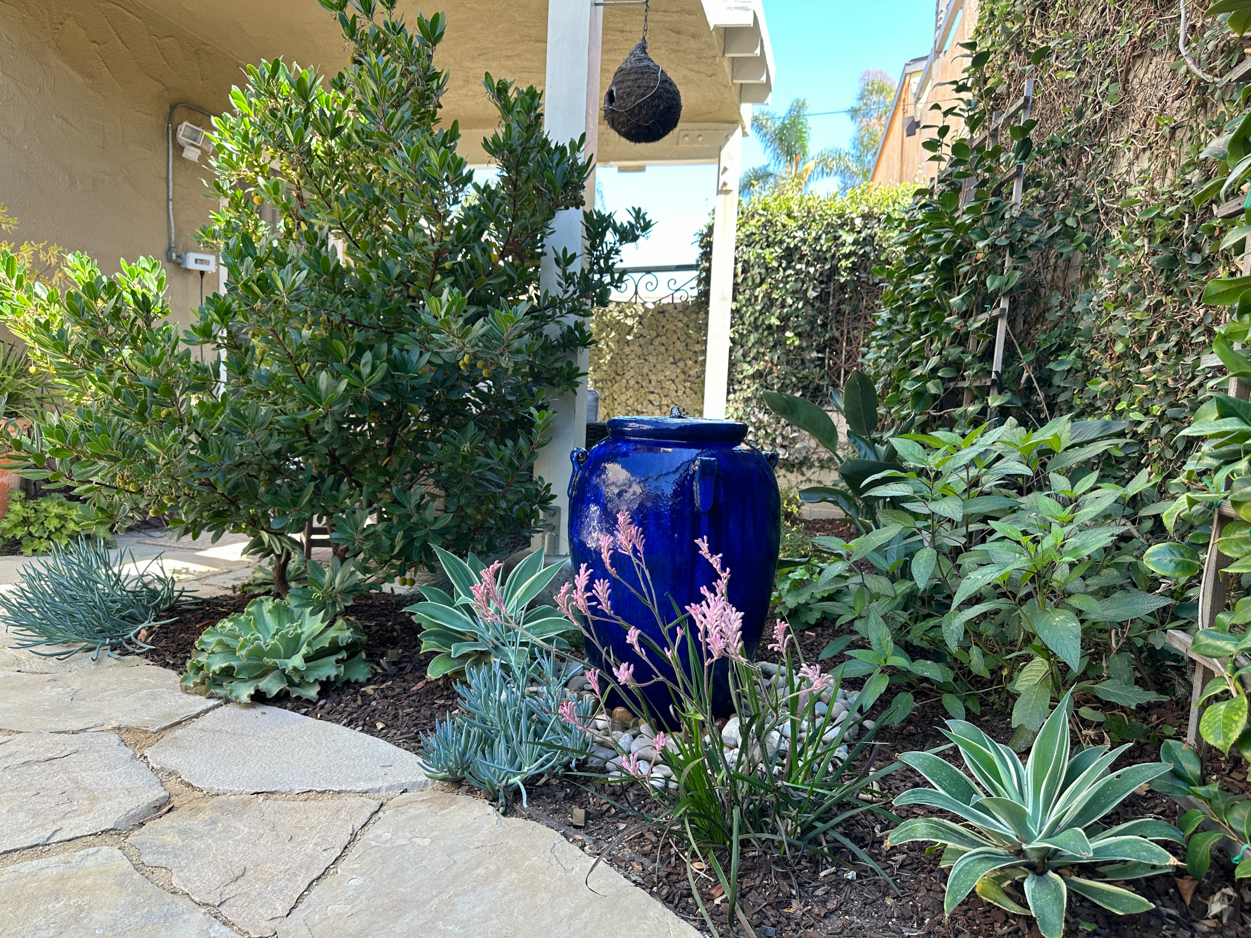 Long Beach Canals - Small Space Transformation