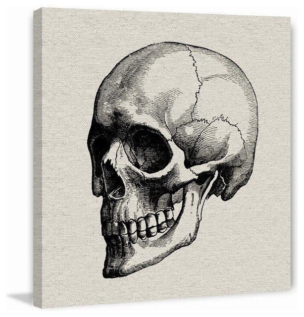 Black Skull" Painting Print, Wrapped Canvas - Eclectic - Prints And Posters  - by Marmont Hill | Houzz