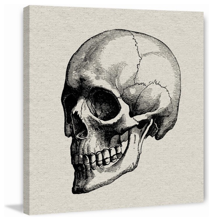 "Black Skull" Painting Print, Wrapped Canvas, 18"x18"
