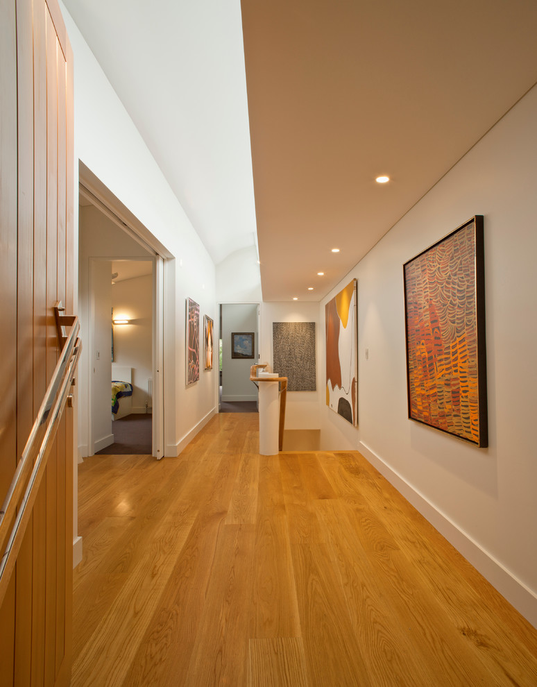Photo of a contemporary hallway in Sydney with white walls and light hardwood floors.