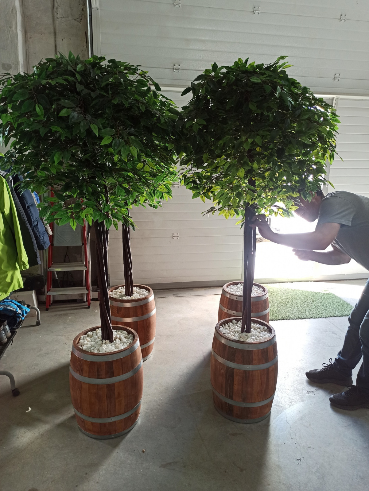 Деревья (*штамб) для фитнес-центра "Пул энд Жим"