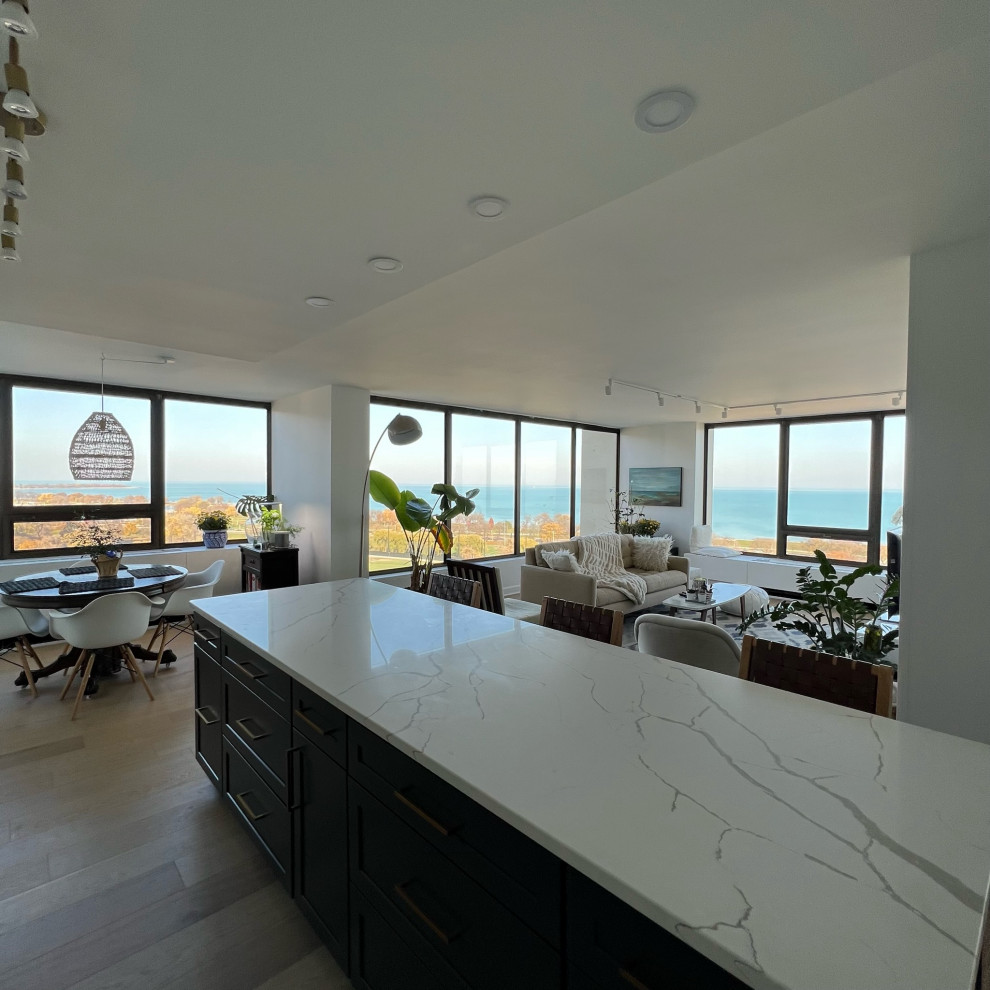 Inspiration for a transitional kitchen remodel in Chicago
