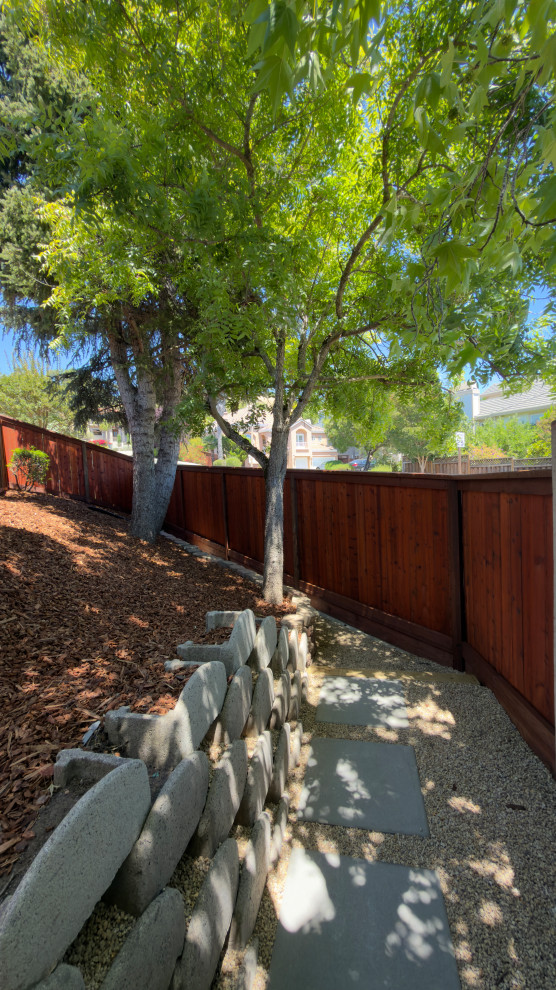 Complete Backyard & Landscape Renovation