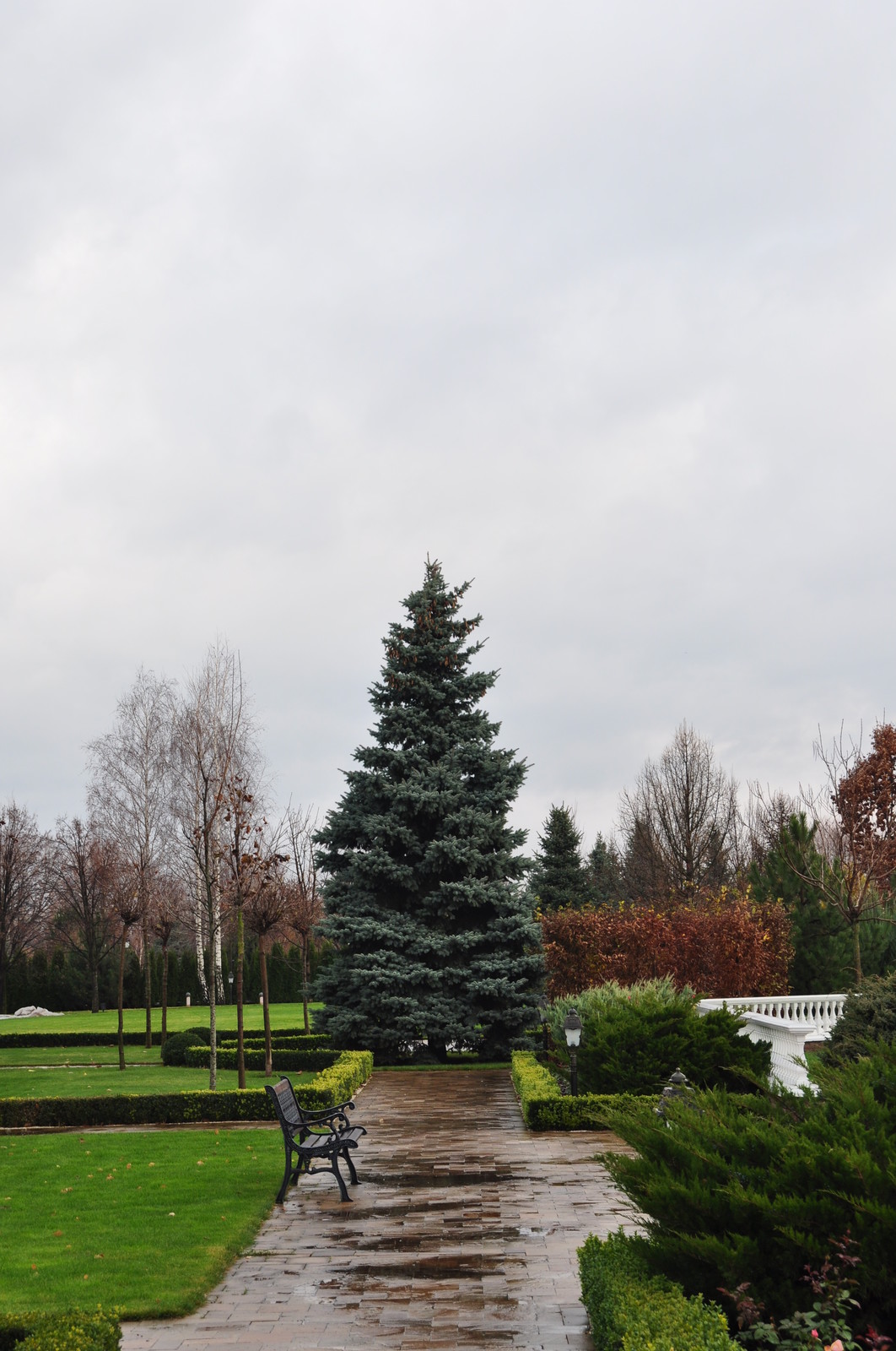 Classic English Garden - Классический английский сад