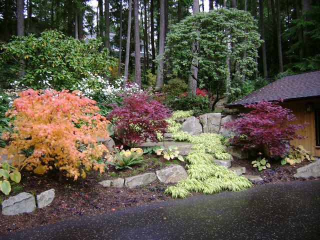 Woodland Garden - Traditional - Landscape - Seattle - by Cambium Inc. on Woodland Landscape Design
 id=70049