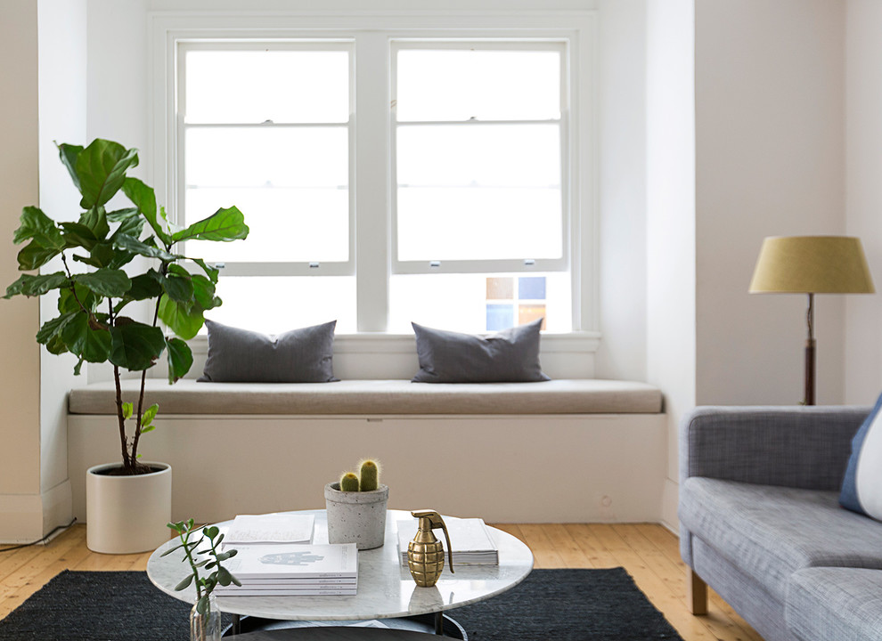 This is an example of a scandinavian living room in Sydney.